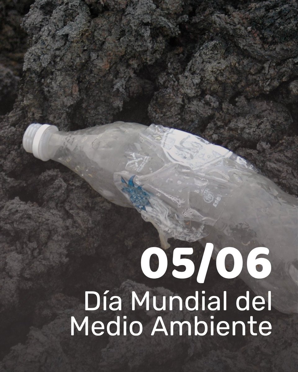 fvidasostenible's tweet image. Hoy #DíaMundialDelMedioAmbiente celebramos buenas prácticas hechas para vivir #SinPlásticos:
📌17 años desde que 🇷🇼 Ruanda prohibió las bolsas de plástico.
📌 Los sistemas de retorno causan grandes beneficios en Noruega o Alemania.

¿Se te ocurren más ejemplos? Comparte.