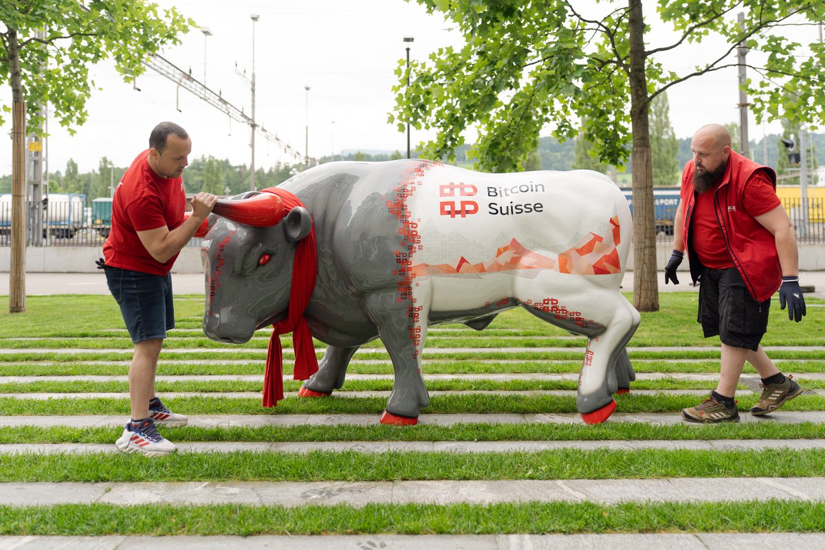 The bulls are running loose! <a href="/thecryptovalley/">Crypto Valley</a> <a href="/BitcoinSuisseAG/">Bitcoin Suisse</a>
