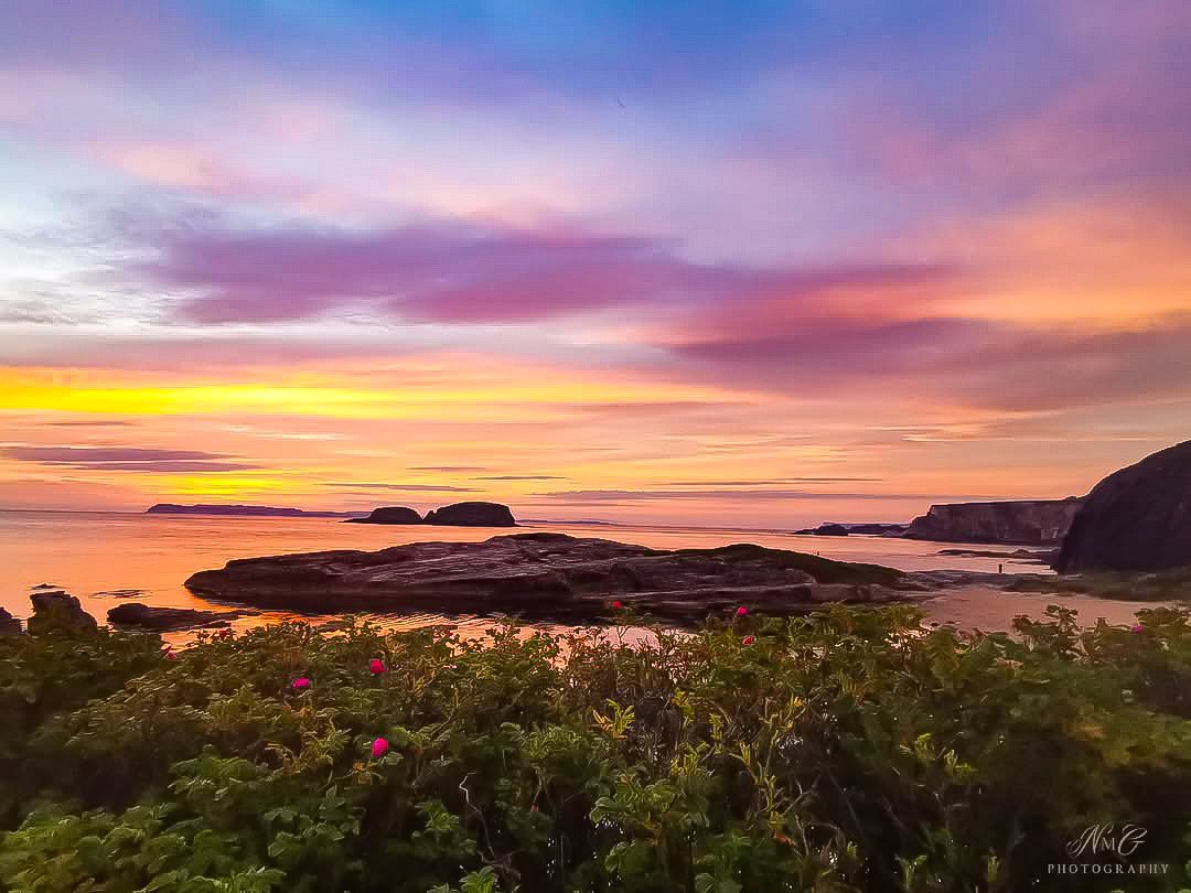 Mornings like these. 😍☀️🌸🌼 #Ballintoy #northcoast #causewaycoast #NorthernIreland #photography #beautiful