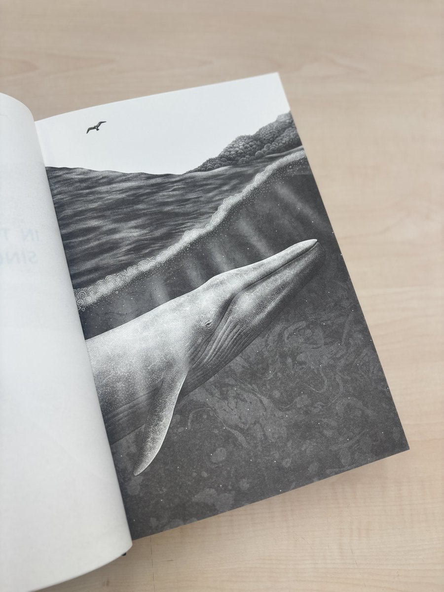 ForAcadLib's tweet image. Thank you for the beautiful book, @readingagency, @wwf_uk, and @johnmurrays 🌊 🐋 🩵