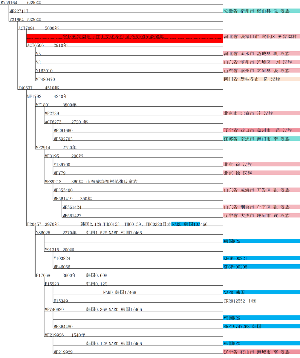 紅山古人の年代鑑定には遺跡鑑定の年代が含まれており、親タイプZ31664の分化時代に近い。サブクレーZ40537は紅山遺跡からあまり遠くないので、基本的には判断できるが、Z40537も紅山文化の群れです。日本人のCTS2657はすべてZ40537のサブクレーであり、紅山文化の後裔であるとも言える。