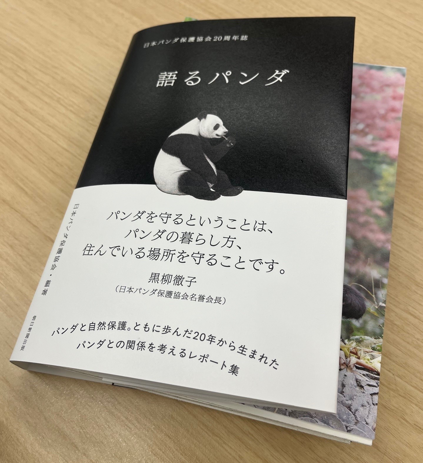 朝日新聞出版 - パンダ 朝日新聞出版パンダ編集班 on X: 