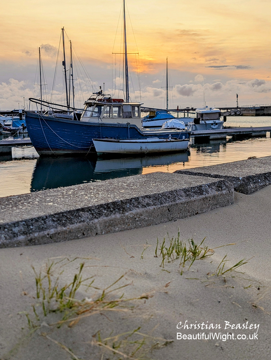 Beautiful Wight tweet media