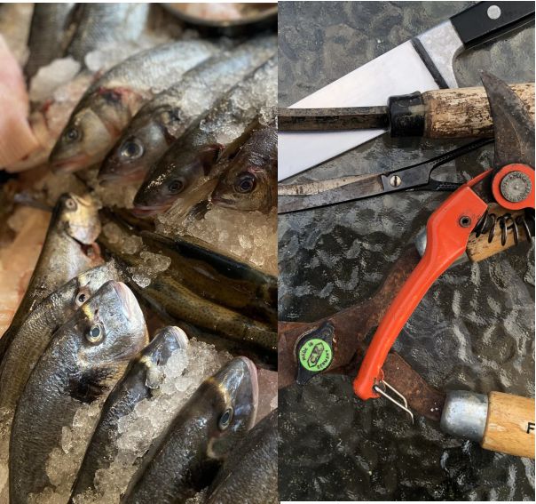 PPGCBath's tweet photo. Today is fish &amp; snips day!
''Matt the Knife' - tool sharpening
&amp;
'Greig the Fish' with wonderful south coast fish.
Hurry - they go home at about 2pm https://t.co/kPatU3GUdm