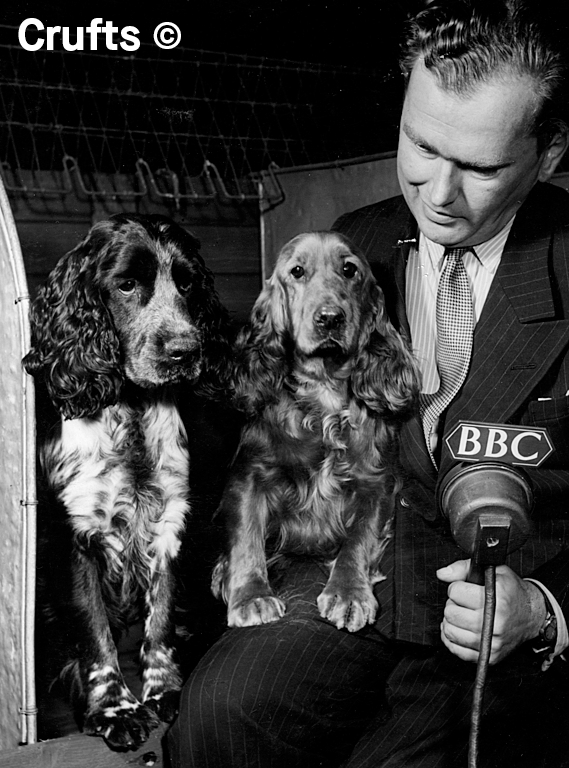 Crufts tweet media