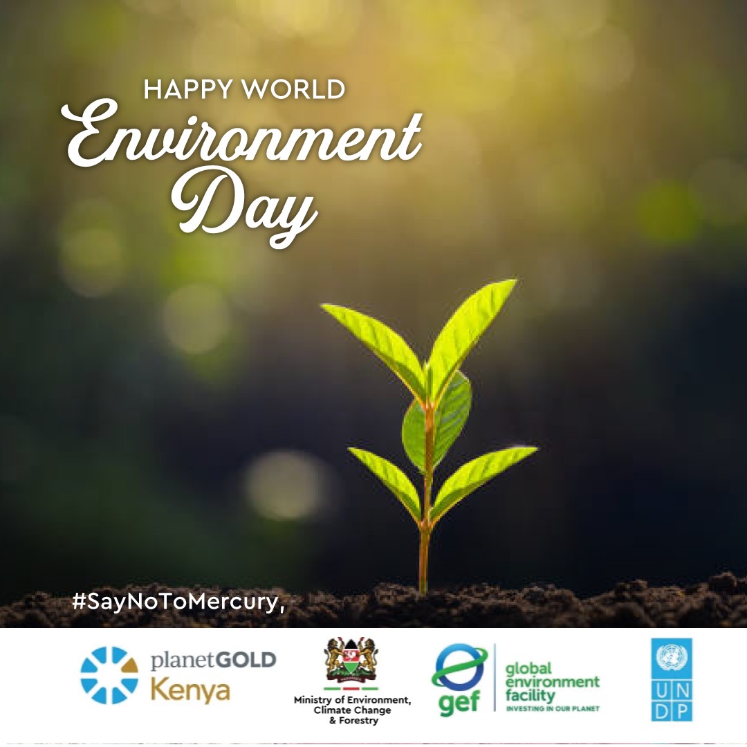 planetGOLD Kenya (@planetgoldk) on Twitter photo Today, we are joining the world in celebrating #WorldEnvironmentDay.
<a href="/PlanetgoldK/">planetGOLD Kenya</a> , we echo this year’s theme, “Beat Plastic Pollution,” as a reminder that even our mine sites can be plastic-free zones.
#SayNoToMercury
#MakeMercuryHistory
#BeatPlasticPollution Today, we are joining the world in celebrating #WorldEnvironmentDay.
<a href="/PlanetgoldK/">planetGOLD Kenya</a> , we echo this year’s theme, “Beat Plastic Pollution,” as a reminder that even our mine sites can be plastic-free zones.
#SayNoToMercury
#MakeMercuryHistory
#BeatPlasticPollution