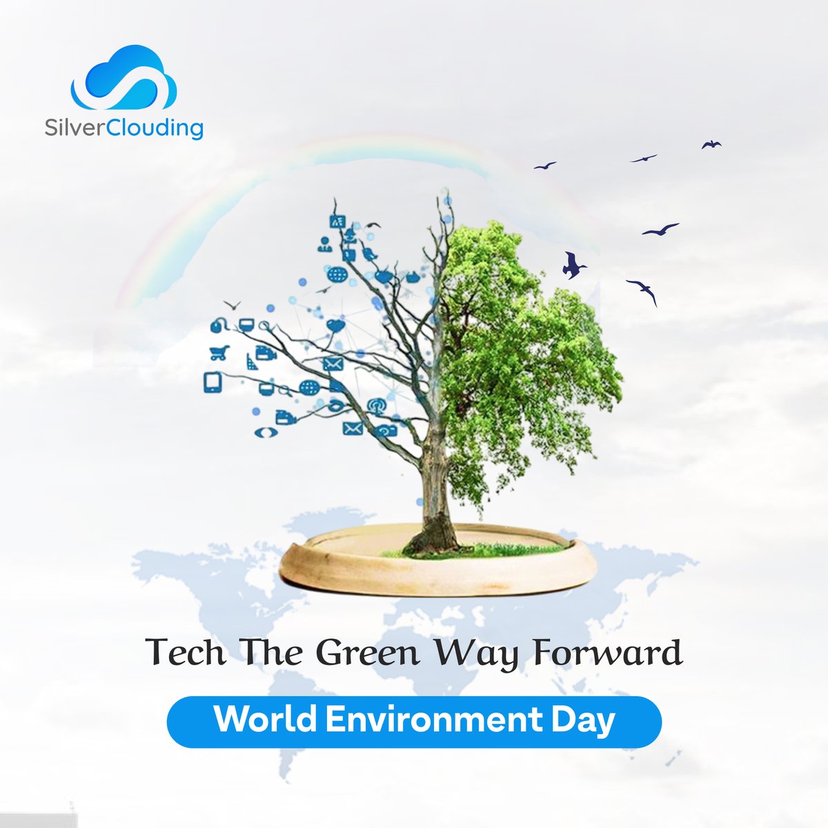 Silver_Clouding's tweet photo. A greener planet starts with a cleaner mindset. Small acts, big impact. 🍃🍂🍁

#WorldEnvironmentDay #GoGreen #SustainableLiving #SilverClouding https://t.co/QlriwVECUE