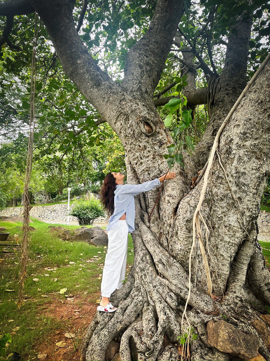 Hugged a tree today, pretty sure it hugged me back. 
It felt like the Earth whispered, “You’re part of this.”
Not the center, not the author—just stardust in its spell.
Here to feel, grow, exist.
On World Environment Day, I’m just grateful to be written in.
#WorldEnvironmentDay