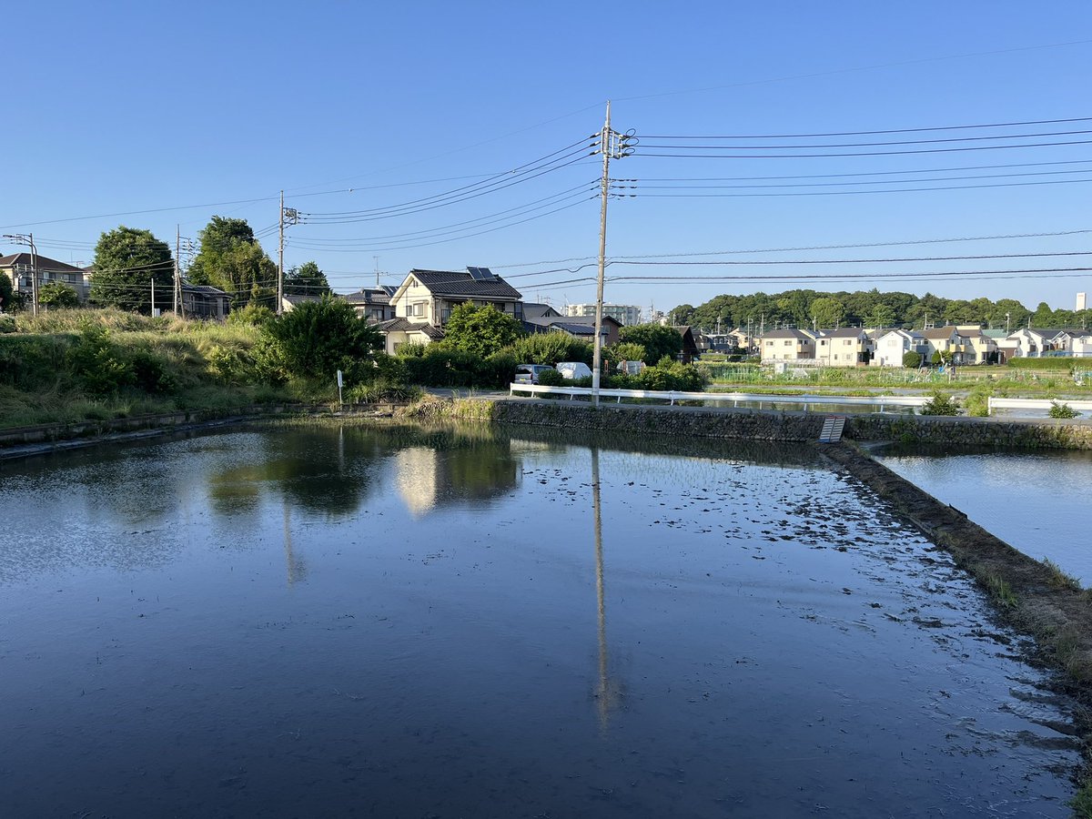 FSXは田んぼオーナー3年目となります。去年の収穫は250㌔と、一昨年の330㌔より随分と少なかったです😢農業の難しさ、大変さを実感しています。さて今年はどうなるか！？
本日、田植えをしてきました！🌾