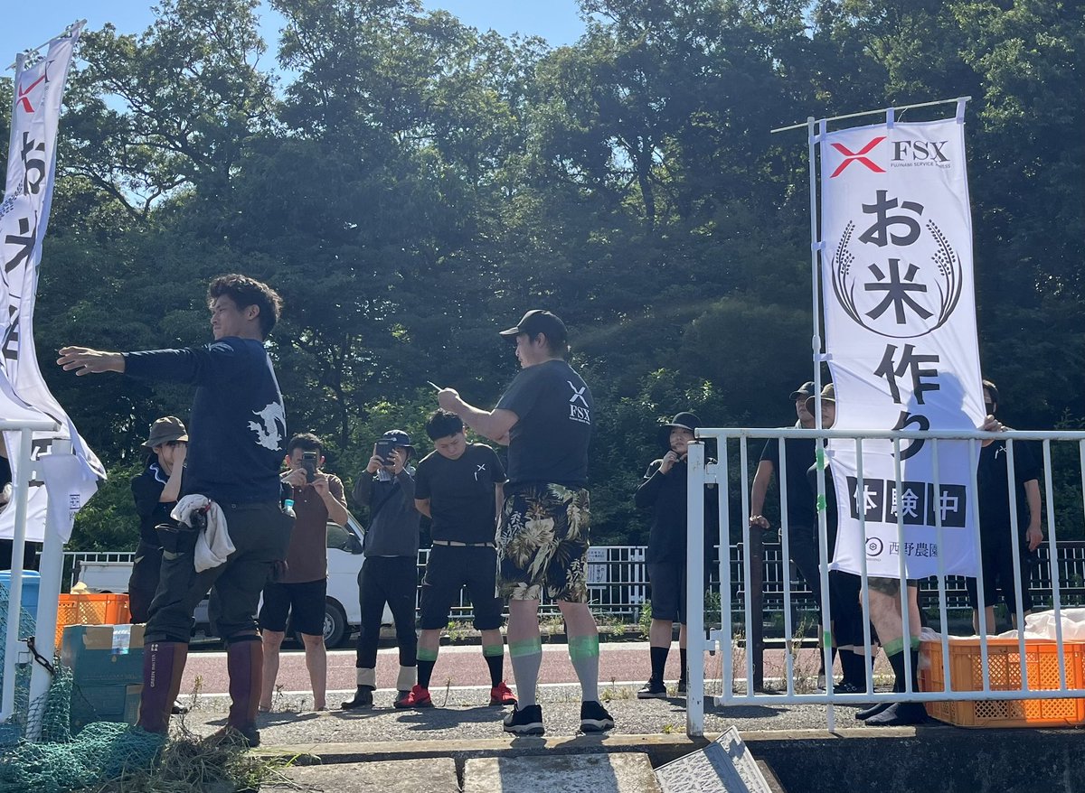 fsxkoho's tweet photo. FSXは田んぼオーナー3年目となります。去年の収穫は250㌔と、一昨年の330㌔より随分と少なかったです😢農業の難しさ、大変さを実感しています。さて今年はどうなるか！？
本日、田植えをしてきました！🌾 https://t.co/FDbMwrSXoX