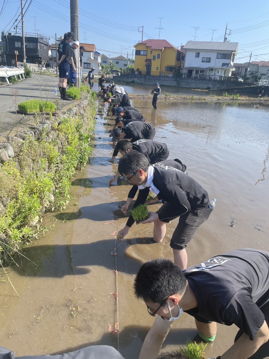 fsxkoho's tweet photo. FSXは田んぼオーナー3年目となります。去年の収穫は250㌔と、一昨年の330㌔より随分と少なかったです😢農業の難しさ、大変さを実感しています。さて今年はどうなるか！？
本日、田植えをしてきました！🌾 https://t.co/FDbMwrSXoX