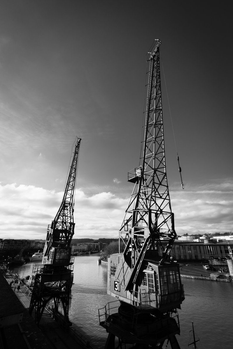 Adam Harrison tweet media