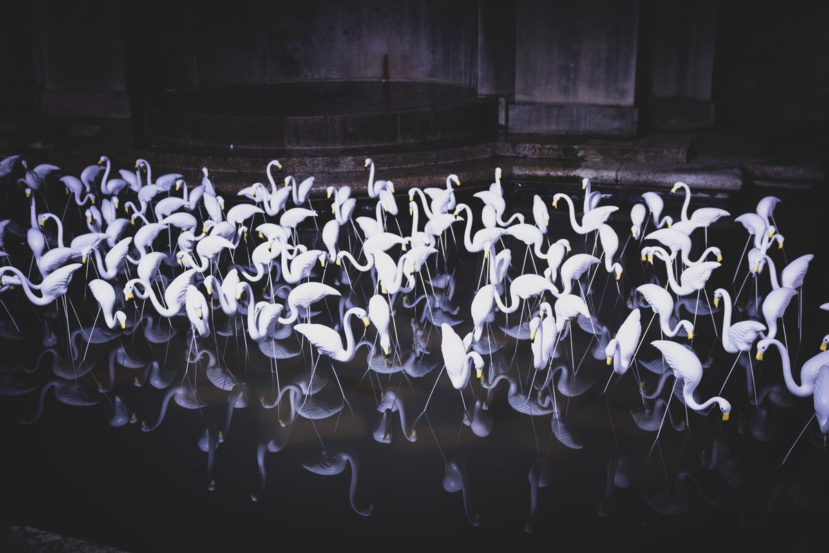 Adam Harrison tweet media