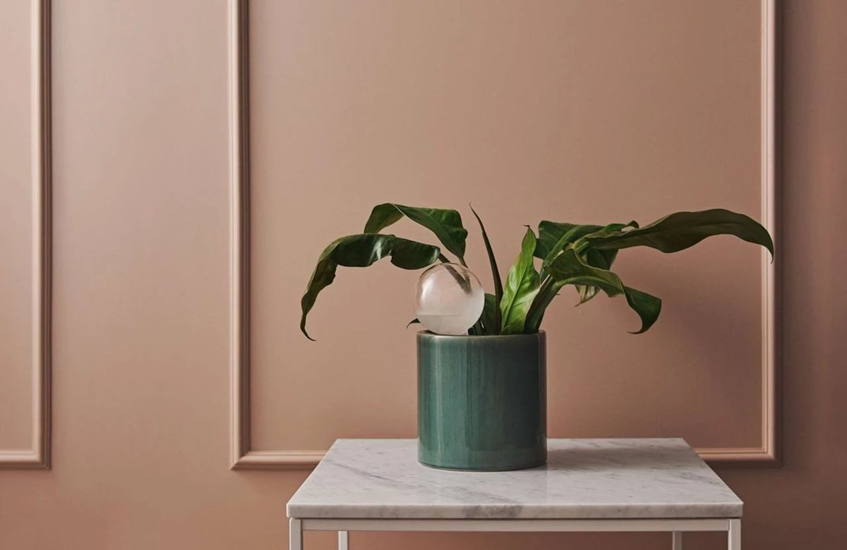 🔵 Ce petit accessoire va sauver nos plantes pendant nos vacances dlvr.it/TL9zj2