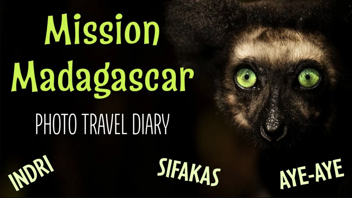 Want to see some cool lemurs like Aye Aye and Indri? Wanna hear that amazing Indri call? Then check out my latest travel diary on one of our days in Madagascar and see amazing images and cockney presenting! 
youtu.be/AFu6Kn7xdzo #Madagascar #lemur #indri #phototours #safari