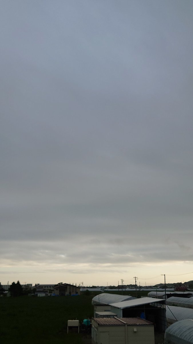 北空、今空です。今日は気温も上がらず肌寒い1日でした。