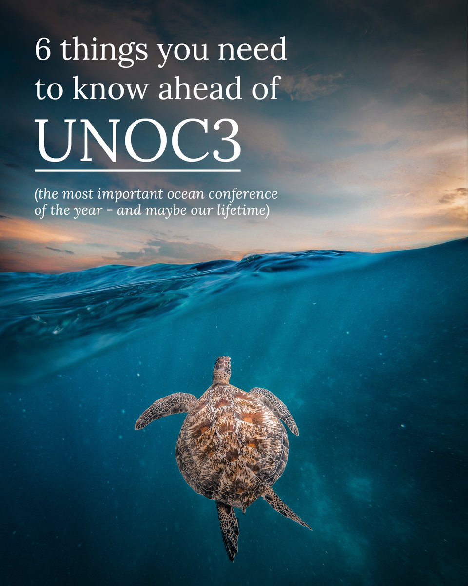 Minderoo Foundation (@minderoo) on Twitter photo The ocean is in trouble ‒ but we can still turn things around. With UNOC3 just around the corner, here are 6 key things you need to know so we can turn global ambition into real action for our oceans.
Read the full story: minderoo.org/stories/unoc-i… The ocean is in trouble ‒ but we can still turn things around. With UNOC3 just around the corner, here are 6 key things you need to know so we can turn global ambition into real action for our oceans.
Read the full story: minderoo.org/stories/unoc-i…