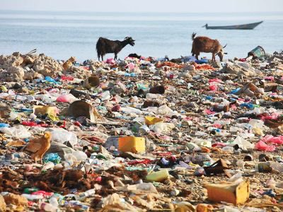 Nect Green Code (@ngcug1) on Twitter photo This #WorldEnvironmentDay, we’re sounding the alarm.
Plastic pollution is choking our waters, killing wildlife, and threatening livelihoods. The time to act is NOW.
Let’s #BeatPlasticPollution reduce, reuse, rethink!
#ClimateJustice #EnvironmentDay
<a href="/GAIAnoburn/">GAIA -Global Alliance for Incinerator Alternatives</a> This #WorldEnvironmentDay, we’re sounding the alarm.
Plastic pollution is choking our waters, killing wildlife, and threatening livelihoods. The time to act is NOW.
Let’s #BeatPlasticPollution reduce, reuse, rethink!
#ClimateJustice #EnvironmentDay
<a href="/GAIAnoburn/">GAIA -Global Alliance for Incinerator Alternatives</a>