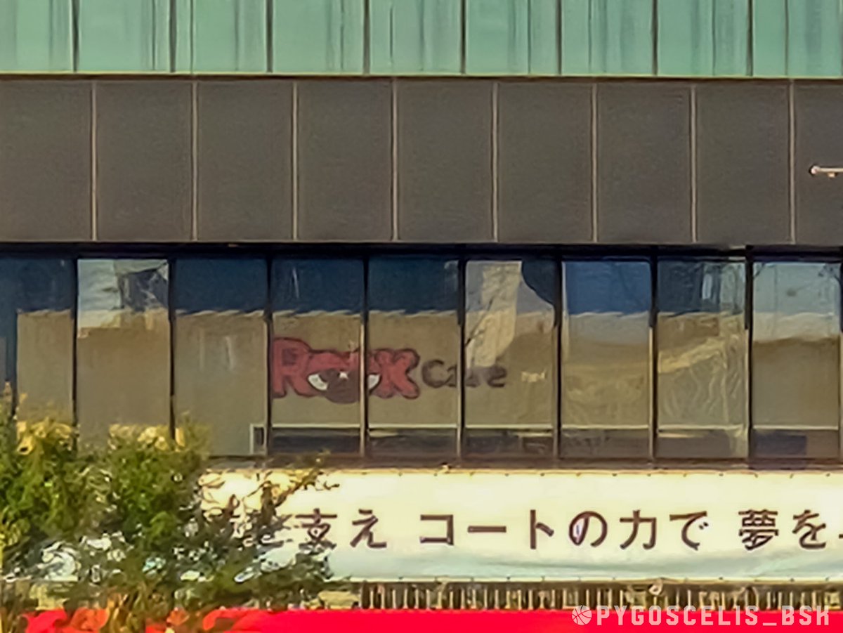 今日は相方が近くで仕事だったんですが、トヨタアリーナ内に

ルークカフェ🐻

を発見したそうです❣️
めちゃかわいいんだけどおおおお(TAT)💗

#アルバルク東京