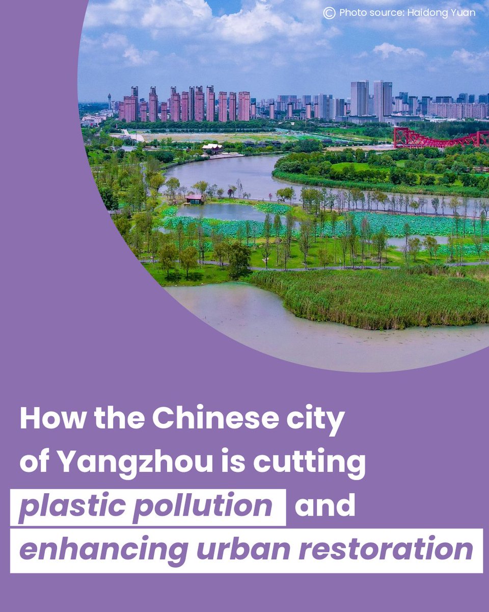 As we mark #WorldEnvironmentDay today, we put spotlight on the UNEP #GenerationRestoration Role Model City - Yangzhou, China. 

The city has implemented a range of initiatives to cut plastic pollution and enhance urban restoration initiatives. 

Read more: tinyurl.com/yc2ej86f
