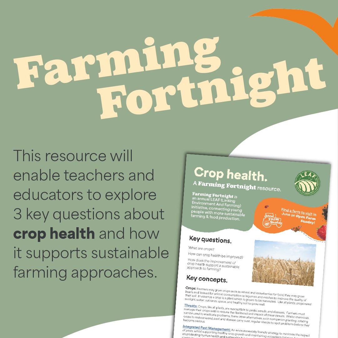 CountrysideClassroom (@countryclassrm) on Twitter photo This #FarmingFortnight, we're celebrating the incredible work of <a href="/Bdowngrowers/">Blackdown Growers</a>
—a shining example of innovation & sustainability in UK horticulture 🥗
🎥 Take a closer look at their story here: youtube.com/watch?v=uQb0jG… This #FarmingFortnight, we're celebrating the incredible work of <a href="/Bdowngrowers/">Blackdown Growers</a>
—a shining example of innovation & sustainability in UK horticulture 🥗
🎥 Take a closer look at their story here: youtube.com/watch?v=uQb0jG…