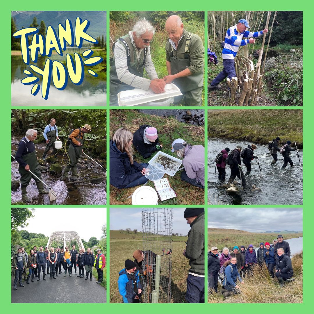 We'd like to shine a light on our volunteers who give their time and energy for free. They perform so many essential tasks like riverbank restoration, tree planting, invasive species removal, and water quality monitoring.
#volunteersweek
tyneriverstrust.org/support-us/vol…