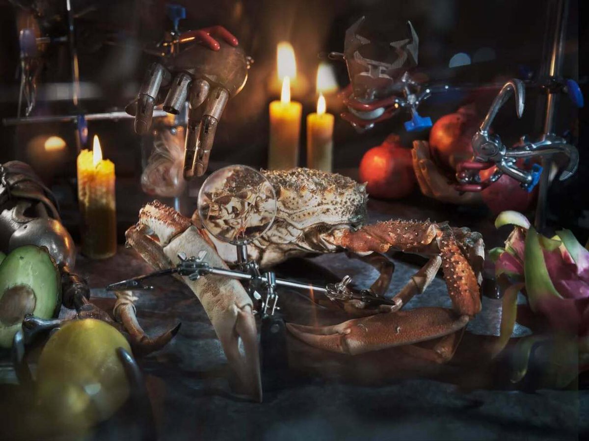 A  crab squats on the table, surrounded by surgical clamps, beeswax candles, and wilting fruit—an uncanny still life staged for inspection or reverence. Above, 1970s prosthetic hand attachments hover like officiants, frozen in gestures of obsolete precis… instagr.am/p/DKg2R1otIRc/