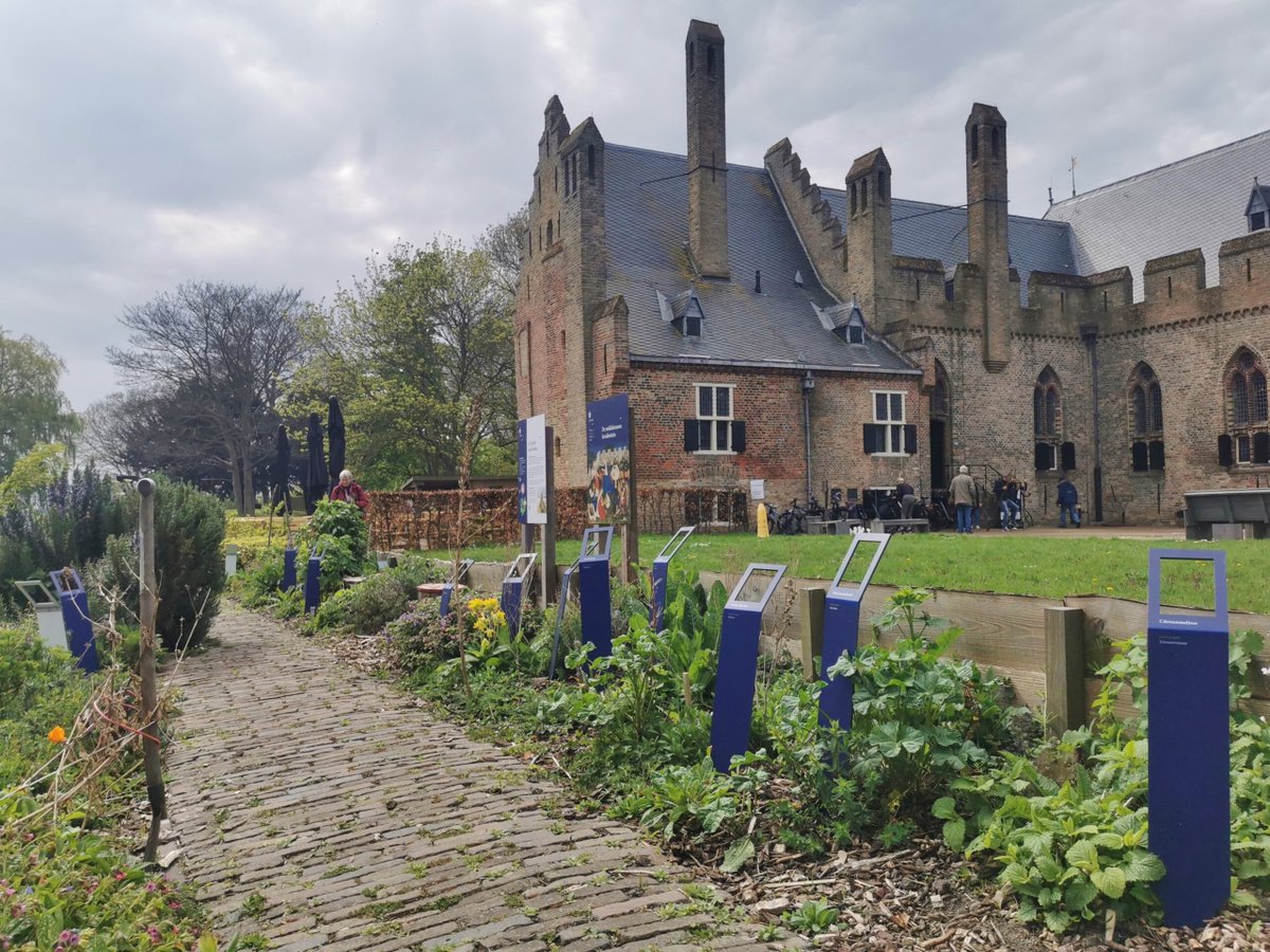 Kasteel Radboud is de enige van 5 West-Friese burchten die nog overeind staat. De meeste kastelen hadden niet alleen een eigen boerderij, maar ook een ‘cruydhof’. De kruidentuin is gebaseerd op de beschrijvingen van kruidenvrouw Lobbrecht Aerntsdochter: bit.ly/4dOfFNx 🌿