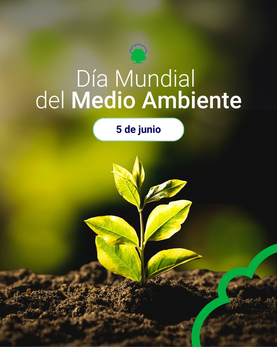 eco2for_fb's tweet image. Entre los desafíos a los que se enfrenta el #MedioAmbiente está el de avanzar en la reducción de las emisiones de gases de efecto invernadero, una meta que #eco2for lleva en su ADN. 💪

¡Feliz #DíaMundialMedioAmbiente !🌍 #WorldEnvironmentDay