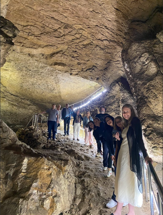 LOCAL GoGREEN tweet media