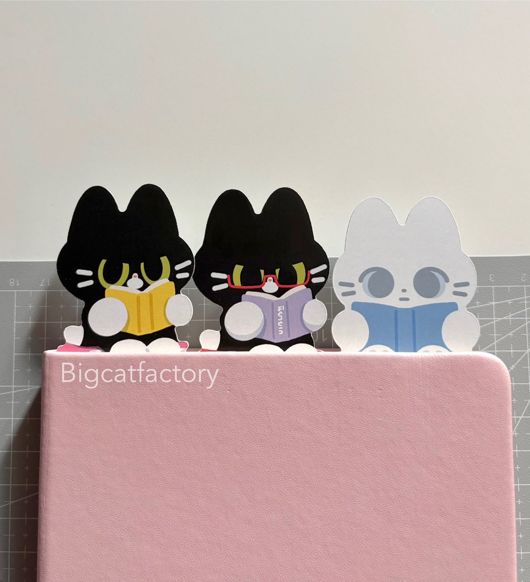 bigcatfactory's tweet image. 🆕Artprint &amp;amp; Bookmark diecut 🏠📚
#IFEXPO25
#reviewcommandp