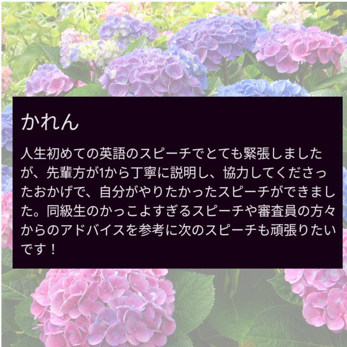 TessSpeech's tweet photo. 💙大会報告1/2💜
先日6/1(日)、1年生にとって初めての大会であるレシテーションコンテストが開催されました🌸

3人とも緊張はあったとは思いますが、日々の努力に裏づけられた堂々とした姿を見せてくれています！2つ目の投稿も含めご確認ください👀 https://t.co/h3sDrJMyKz