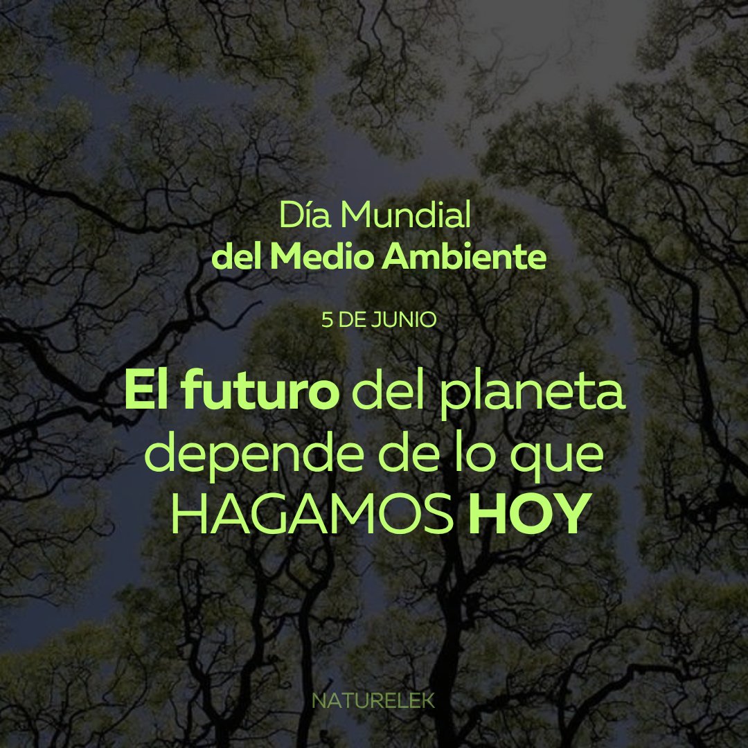naturelek's tweet photo. 🌍 Hoy es el #DíaDelMedioAmbiente y queremos recordarte algo importante:
La energía que usas en casa o en tu empresa también impacta en el mar.

 El modelo tradicional contamina aire, agua y océanos.

☀️ La solar es limpia, silenciosa y no contamina.
 Es momento de cambiar. https://t.co/1zUJzq6xMo