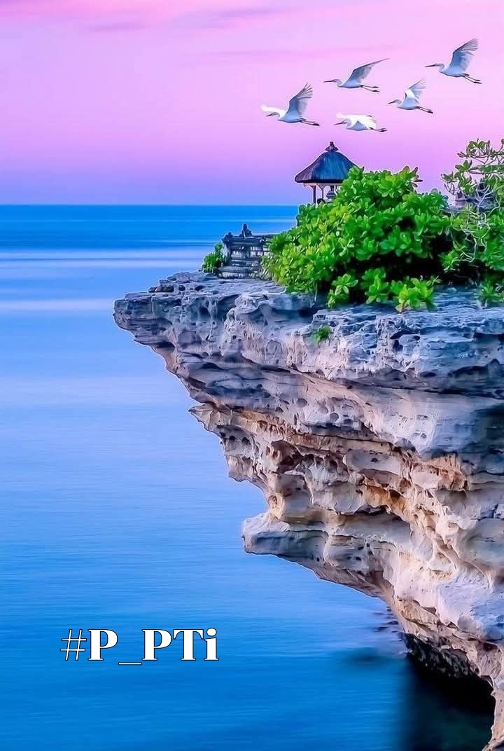 àŒº ððµð¬ð¬ðµðšð¯ð àŒ» (@nm1k_) on Twitter photo ðµðŸð»ð»ðŸð
#P_PTi ð
°ïžâ 01
<a href="/MNPTi1/">ð.ðððâââðð²ð«ð°ðŠð£ðïžââ Ø§ØšÙسÙÙ
ââð¶</a>
<a href="/NM1k_/">àŒº ððµð¬ð¬ðµðšð¯ð àŒ»</a>
<a href="/IAIJ1_/">Javed Iqbal</a>
<a href="/NM2k__/">ıllıllı ðž NÍEÍEÍNÍAÍHÍ ðž ıllıllı</a>
<a href="/ik_553/">.â â â â âðãã¹ã«ã³ ðð®ð¬ð€ðð§ð. â â â â â âð</a>
<a href="/4mir_8/">Aamir Hayat Awan</a>
<a href="/Dni_40/">Daniyal</a>
<a href="/B_Ali11/">â¯ððð ðððð ðððððð¢ðâ¯ðµð°ðºðž âïžðŠ</a>
<a href="/ARI2_1/">Ariana</a>
<a href="/ksad_3/">K. Saad ðµð°</a>
<a href="/Y22NY/">YASEEN</a>
<a href="/nbea_h/">#ðŸððððð±ðððððð #ð¿ððð±ðððððð</a>
<a href="/av_804/">DigitaL AaTanG VaDi 804</a>
<a href="/shz787/">ðâïžððsÊáŽÊᎢáŽáŽ
áŽáŽÉŽÉªÊðâïžðâïž</a>
<a href="/Aa_ban1/">âïž» #TmGriffinsðŠ
ïž»â</a>
<a href="/Sprxzy2/">Umar PTI</a>
<a href="/sam_5as/">Aslam Sameer</a>
<a href="/r7731467/">Russell âïžÙØŽÙØ· ðŸðª</a>
<a href="/OdriSeva/">Odri Seva</a>
<a href="/zimal293/">ðŠðáŽsÊɪáŽ
áŽÊðŠ</a>
<a href="/PTi___786/">Nosheen Aurangzaib</a>
<a href="/SKPTI804/">ê±áŽÊáŽáŽÉŽ áŽáŽáŽÊáŽÉŽ áµáµáµáµË¢áµáµ</a>
<a href="/CarloSportfan/">SportISmyLIFE âœâŸððððŸð³ððâ³</a>
<a href="/yasirkhan7845/">Yasir Khan</a>
<a href="/KamranA17555180/">ISF Sindh Official ð§ð«</a>
<a href="/00munsif/">#ð_ððð¢ ð ðð®ð§ð¬ð¢ð ðð¥ð¢</a> <a href="/As_t40/">ð ðððððð«</a> ðµðŸð»ð»ðŸð
#P_PTi ð
°ïžâ 01
<a href="/MNPTi1/">ð.ðððâââðð²ð«ð°ðŠð£ðïžââ Ø§ØšÙسÙÙ
ââð¶</a>
<a href="/NM1k_/">àŒº ððµð¬ð¬ðµðšð¯ð àŒ»</a>
<a href="/IAIJ1_/">Javed Iqbal</a>
<a href="/NM2k__/">ıllıllı ðž NÍEÍEÍNÍAÍHÍ ðž ıllıllı</a>
<a href="/ik_553/">.â â â â âðãã¹ã«ã³ ðð®ð¬ð€ðð§ð. â â â â â âð</a>
<a href="/4mir_8/">Aamir Hayat Awan</a>
<a href="/Dni_40/">Daniyal</a>
<a href="/B_Ali11/">â¯ððð ðððð ðððððð¢ðâ¯ðµð°ðºðž âïžðŠ</a>
<a href="/ARI2_1/">Ariana</a>
<a href="/ksad_3/">K. Saad ðµð°</a>
<a href="/Y22NY/">YASEEN</a>
<a href="/nbea_h/">#ðŸððððð±ðððððð #ð¿ððð±ðððððð</a>
<a href="/av_804/">DigitaL AaTanG VaDi 804</a>
<a href="/shz787/">ðâïžððsÊáŽÊᎢáŽáŽ
áŽáŽÉŽÉªÊðâïžðâïž</a>
<a href="/Aa_ban1/">âïž» #TmGriffinsðŠ
ïž»â</a>
<a href="/Sprxzy2/">Umar PTI</a>
<a href="/sam_5as/">Aslam Sameer</a>
<a href="/r7731467/">Russell âïžÙØŽÙØ· ðŸðª</a>
<a href="/OdriSeva/">Odri Seva</a>
<a href="/zimal293/">ðŠðáŽsÊɪáŽ
áŽÊðŠ</a>
<a href="/PTi___786/">Nosheen Aurangzaib</a>
<a href="/SKPTI804/">ê±áŽÊáŽáŽÉŽ áŽáŽáŽÊáŽÉŽ áµáµáµáµË¢áµáµ</a>
<a href="/CarloSportfan/">SportISmyLIFE âœâŸððððŸð³ððâ³</a>
<a href="/yasirkhan7845/">Yasir Khan</a>
<a href="/KamranA17555180/">ISF Sindh Official ð§ð«</a>
<a href="/00munsif/">#ð_ððð¢ ð ðð®ð§ð¬ð¢ð ðð¥ð¢</a> <a href="/As_t40/">ð ðððððð«</a>