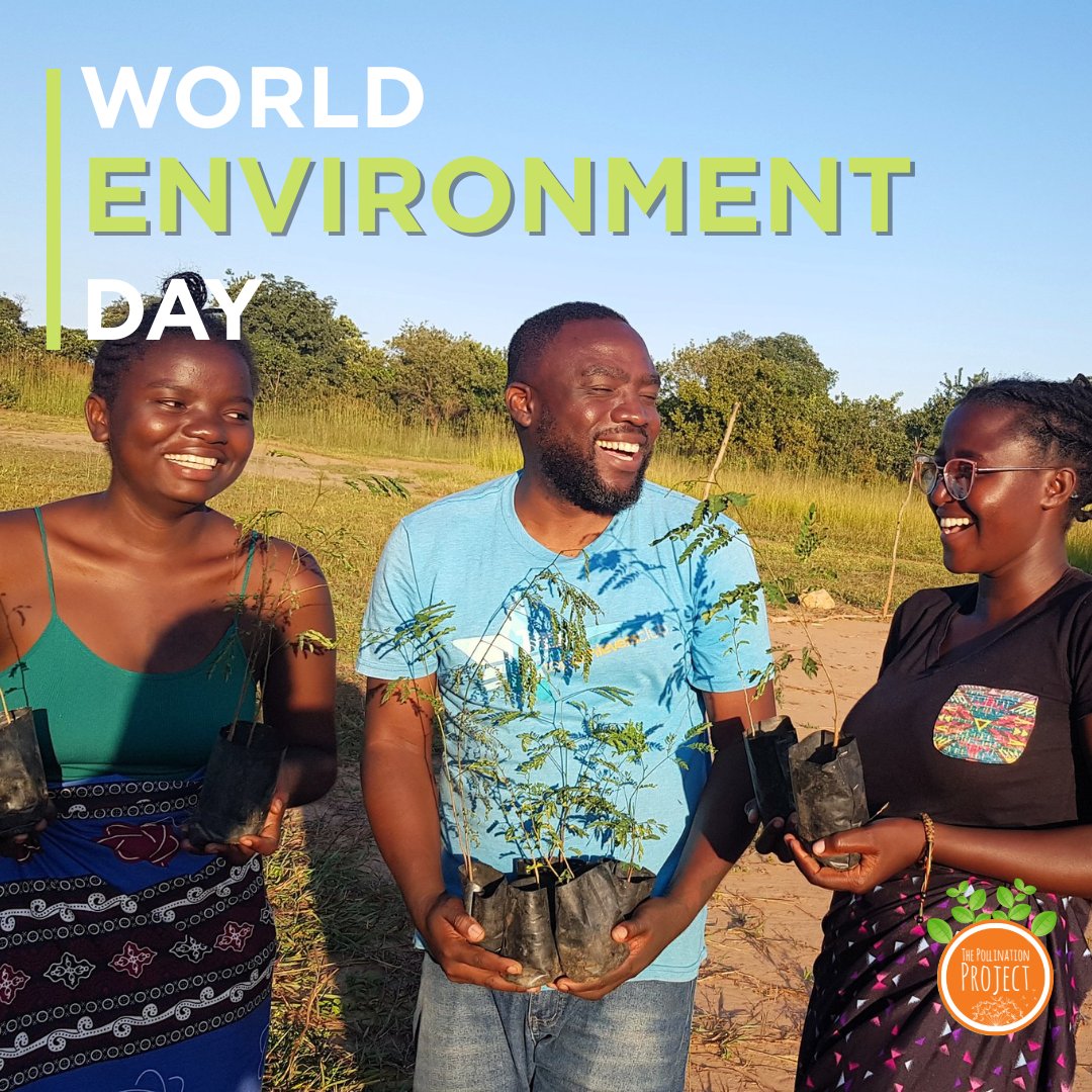 🌍 On #WorldEnvironmentDay, we celebrate grassroots changemakers healing our planet with bold, local action and deep love for the Earth. 🌱 #SeedTheChange #ActForEarth #EnvironmentalJustice