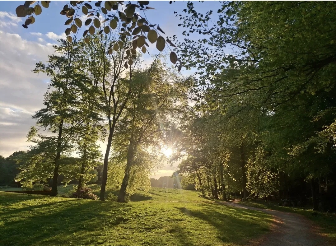 🌈 The fun's only just beginning as we prepare for a jam-packed summer!

☀ Be sure to pick up our brand new Summer What's On guide during your next visit, or head to the What's On section of our website for more details on our Summer schedule: wentworthwoodhouse.org.uk/whats-on/