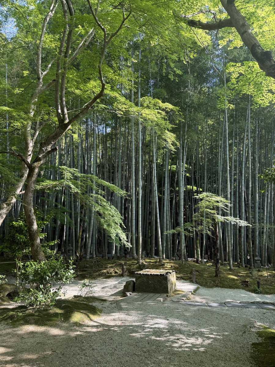 瑞厳山 圓光寺