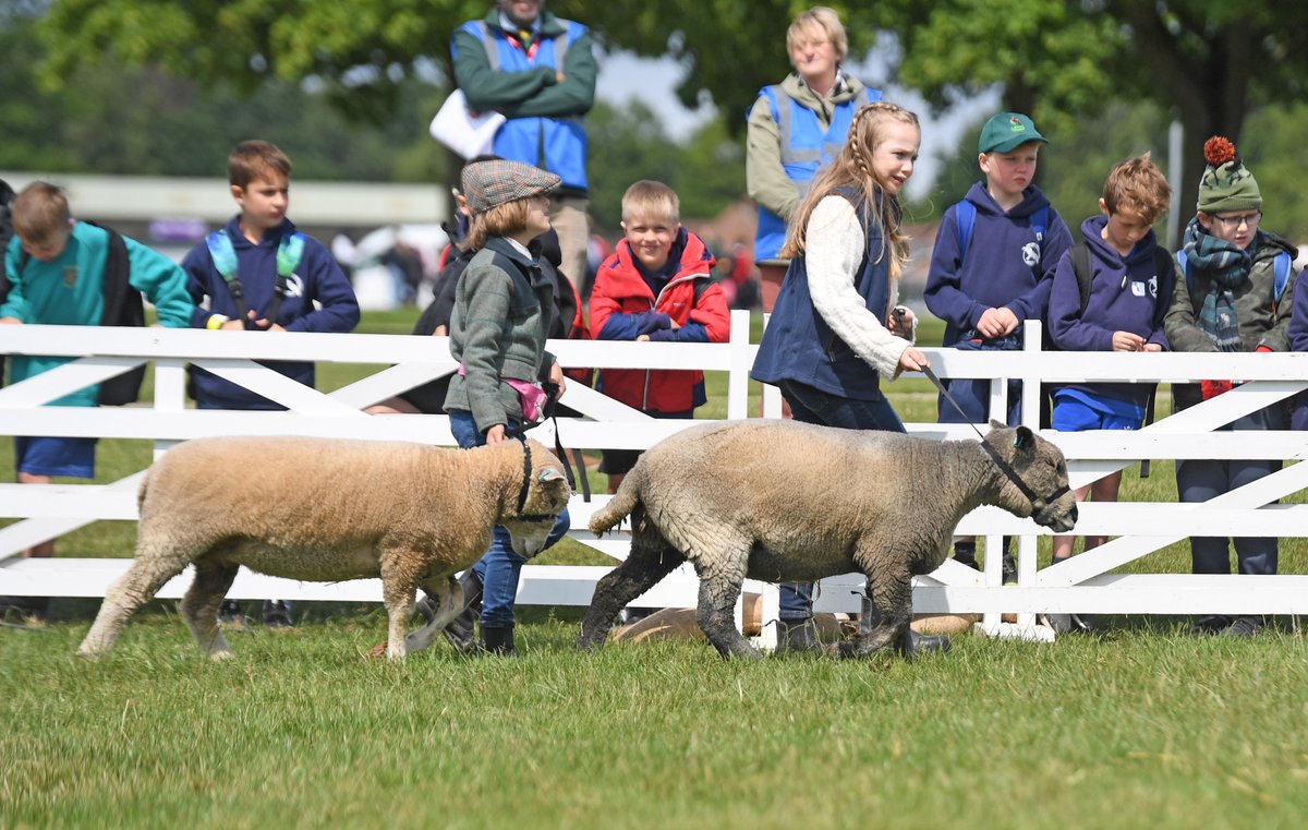 YorksAgSoc's tweet image. What a great two days at the Great Yorkshire Showground!
Thousands of primary school children have been learning about farming, food and the countryside at Countryside Days, our free annual event for schools.
Thanks to our exhibitors for being part of this educational event.