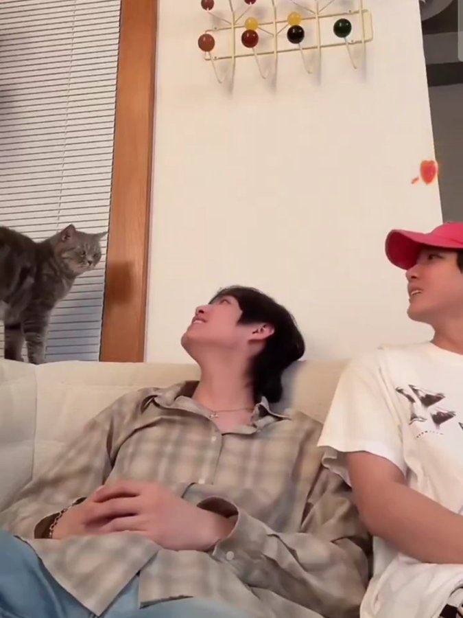 みま🎨 tweet media