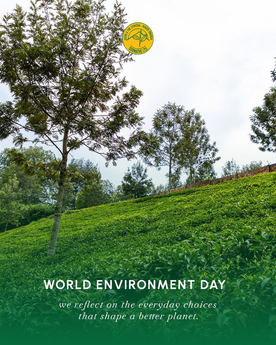 On this World Environment Day, we reflect on the everyday choices that shape a better planet.

At Sorwathe, we embrace sustainable farming that protects natural ecosystems, promotes biodiversity, and ensures fair working conditions for the people behind every leaf. Our commitment