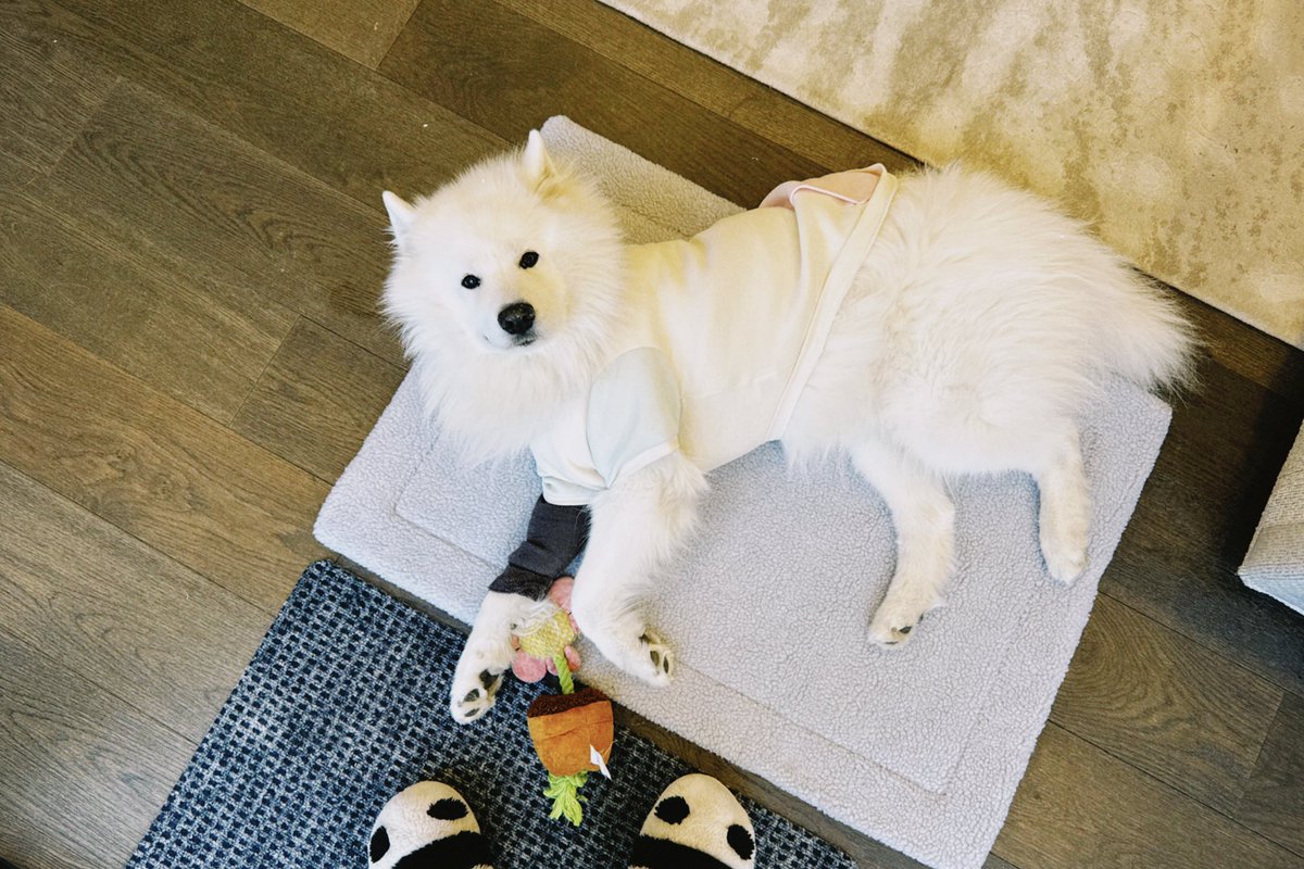 大❌富㍿ tweet media