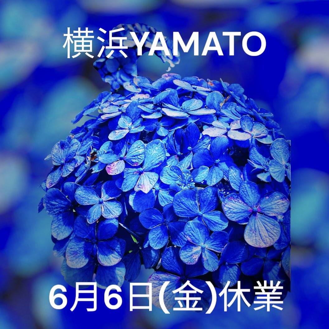 info_yamato's tweet photo. 横浜YAMATOは6月6日(金)休業いたします。ご利用のお客様にご不便をおかけしますが何卒ご理解ご協力をお願い申し上げます。翌7日(土)から引き続き予約優先制にて11:00〜19:00営業いたします。 https://t.co/CgJsQz80bd