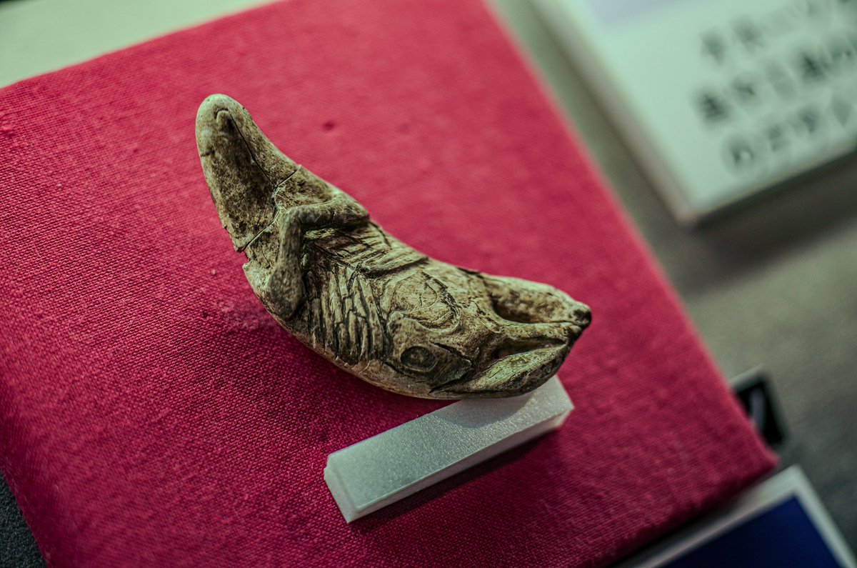 らっこ彫像（熊の牙）
常呂川河口遺跡
ところ遺跡の館
オホーツク文化
Leica M11-P
Macro-Elmarit-R 60mm f2.8