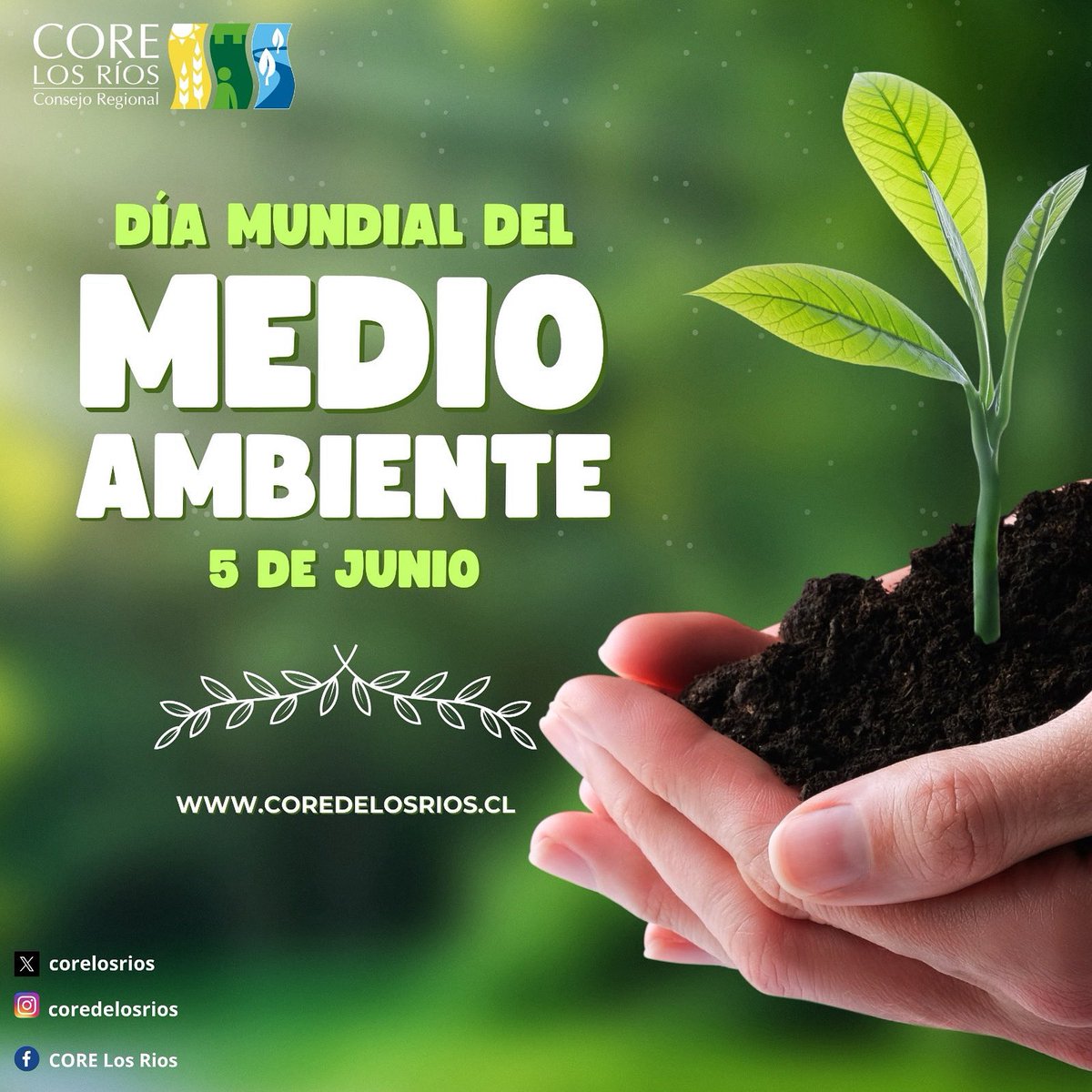 CoreLosRíos (@corelosrios) on Twitter photo En el #DíaDelMedioAmbiente destacamos el trabajo del <a href="/corelosrios/">CoreLosRíos</a> en el impulso de iniciativas locales que promueven la sustentabilidad y el respeto por nuestros territorios.
🌿 ¡Por una región verde y consciente!
#Valdiviacl #SustentabilidadRegional En el #DíaDelMedioAmbiente destacamos el trabajo del <a href="/corelosrios/">CoreLosRíos</a> en el impulso de iniciativas locales que promueven la sustentabilidad y el respeto por nuestros territorios.
🌿 ¡Por una región verde y consciente!
#Valdiviacl #SustentabilidadRegional