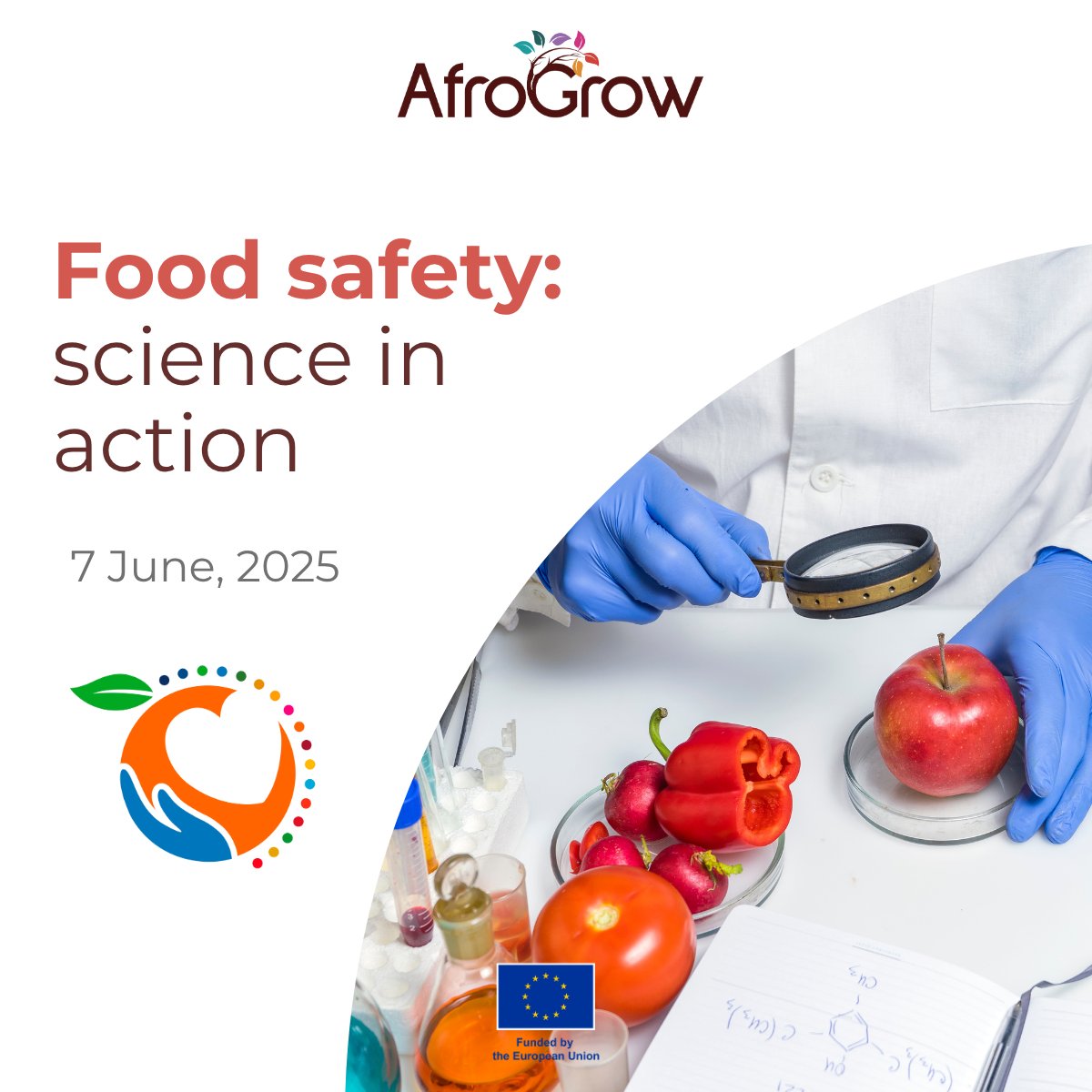 🌾Happy #WorldFoodSafetyDay!🔬

🌳AfroGrow blends agroforestry  with science &amp; tradition to build safer, resilient food systems in Africa.
Healthy food, healthy people, healthy planet!

#AfroGrow #Agroforestry #LivingLabs #Africa #HorizonEU #ClimateAction