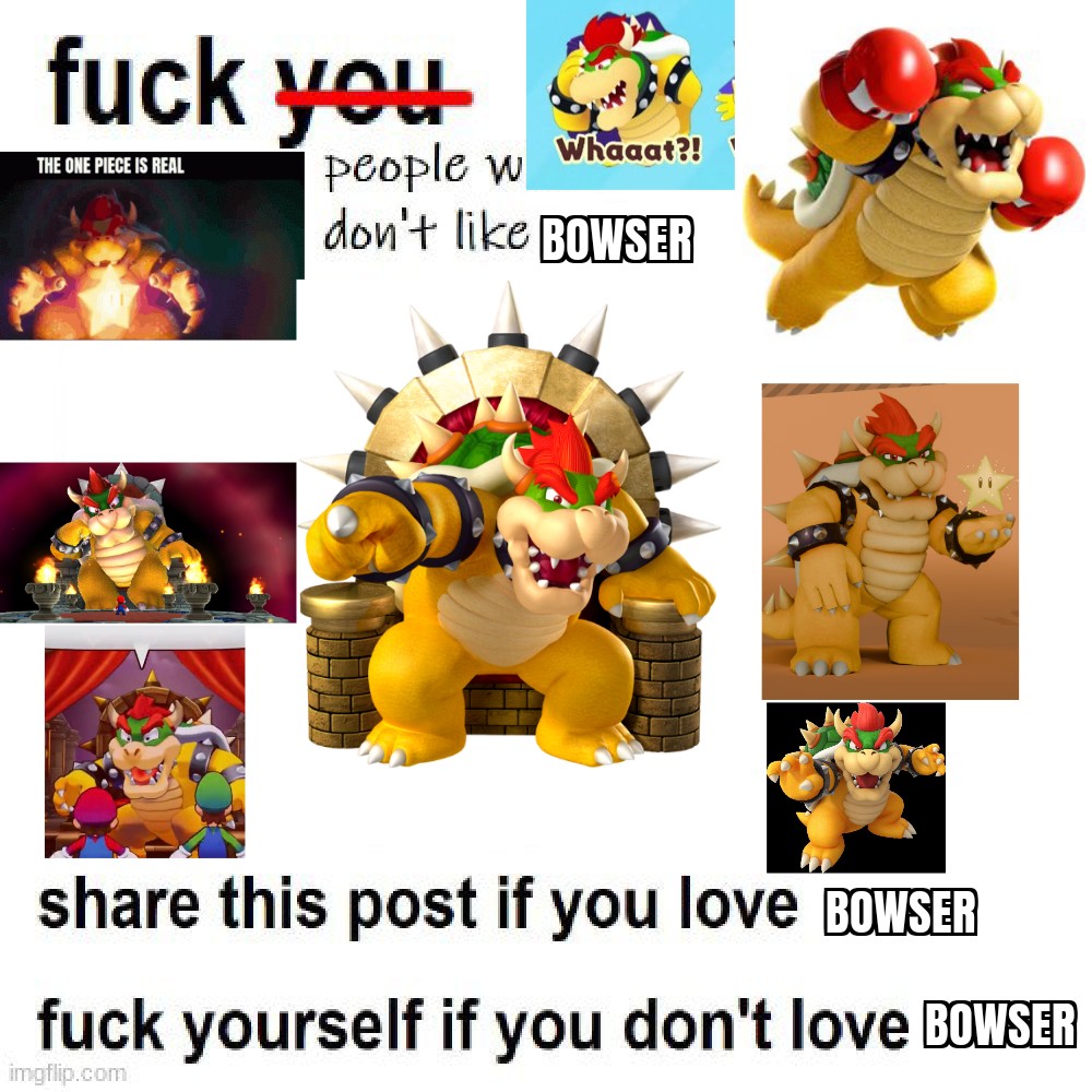This user really likes Bowser (@koopaking1985) on Twitter photo 