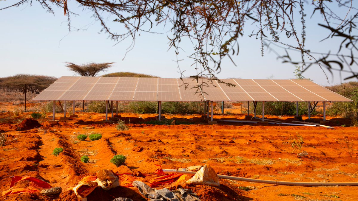 NRC_EAY's tweet photo. #Somalia: In Guriel,we are enabling farmer cooperatives with innovative solar-powered smart irrigation systems. Through the #OASISProject, this tech maximizes water use to boost crops, food security & resilience in drought-prone areas. Thanks to #BRCiSConsortium & @EU_in_Somalia. https://t.co/qWriAPi7nr