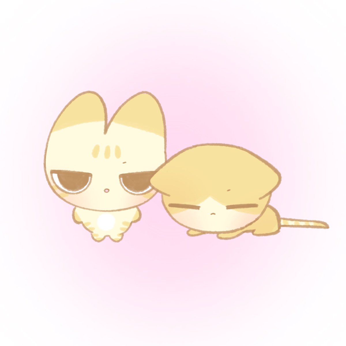 치즈냥이 되었어요 ♡
