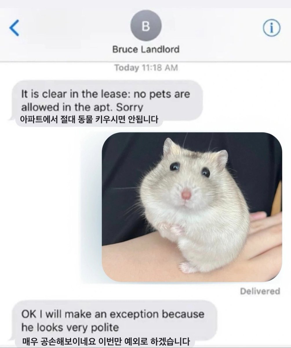 이번만 예외