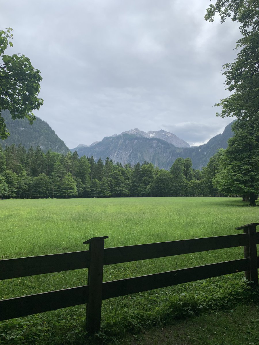 servatore's tweet image. dzisiaj na lajciku, ale jest i on! 🤭 #Alpy